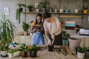 Featured image of two florists in their shop checking finances on a tablet