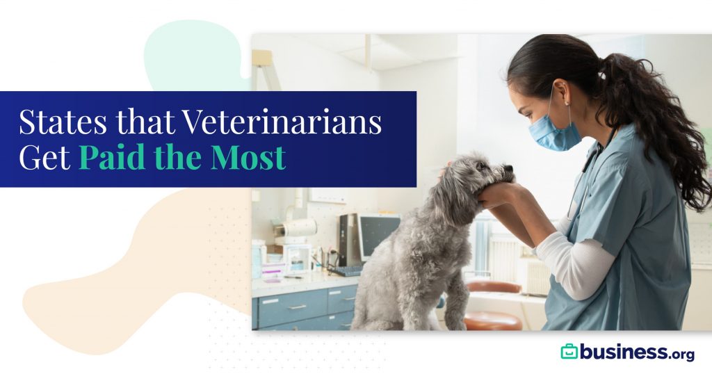 The Best-paying States for Veterinarians in 2021 - Business.org