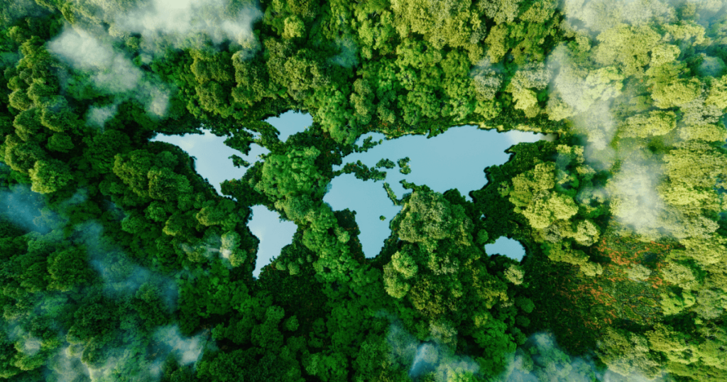 A green image of a map of the world as a forest.