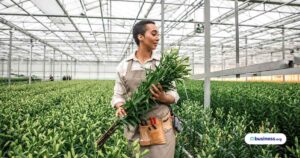 farmer-working-in-greenhouse